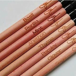Bút chì hạt giống (Pencil Plants)