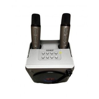 LOA BLUETOOTH KARAOKE SDRD SD-507 ( KÈM 2 MICRO )