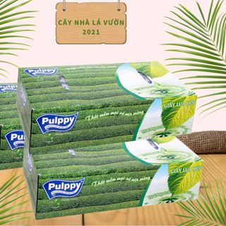 Giấy Lụa Hộp Pulppy hương trà ( 100 tờ/ hộp ) ( 6 hộp/ lốc ).