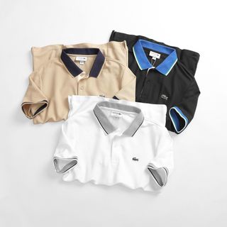 Áo thun cotton pique nam, áo thun nam cao cấp, chất cotton pique cao cấp - size từ 55kg - 85kg