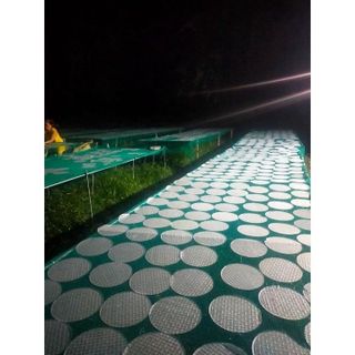Tuyển Đại Lý, Cộng Tác Viên Bán Hàng Ăn Vặt, Bánh Tráng Phơi Sương