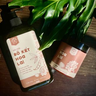 GỘI BỒ KẾT HOA LÀI