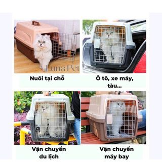 Lồng Hàng Không Dành Cho Chó Mèo, Lồng Vận Chuyển Thú Cưng Đi Xa Tiện Lợi