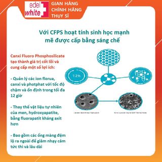 Kem đánh răng chống ê buốt STOP Sensitivity, 75ml (giảm ê buốt ngay tức thì, bảo vệ suốt 12h)