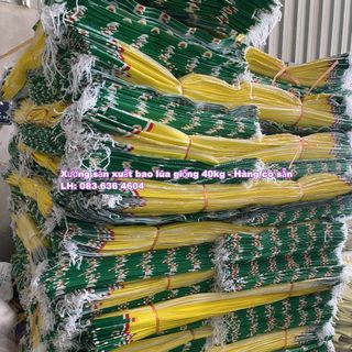 Chuyên bao lúa giống 40kg giá sỉ tại tphcm