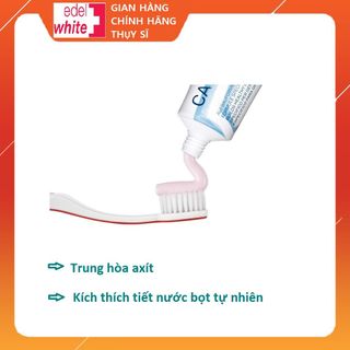 Kem đánh răng ngừa viêm sưng nướu Care Forte, 75ml (ngăn ngừa viêm sưng nướu, lợi, chảy máu chân răng, giúp lợi chắc khỏe)
