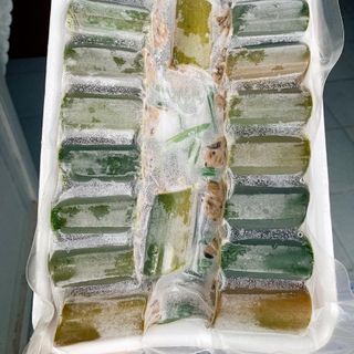 Ốc Nhồi Ống Nứa