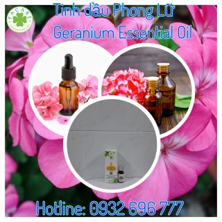 Tinh dầu phong lữ geranium essential oil thiên nhiên xông phòng mùi thơm - 100ml giá sỉ