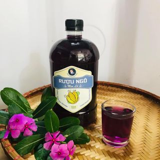 Rượu Ngô men lá tím