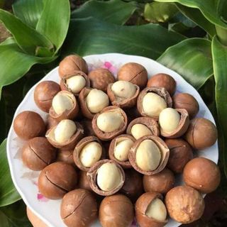 MACCA SẤY NỨT VỎ BỊCH 500GR LOẠI A+