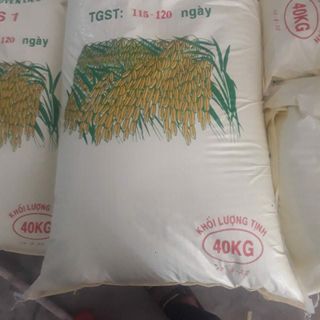 Bao pp dệt đựng lúa giống nguyên liệu giá sỉ