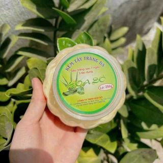 KEM TRÁI BÍ giá sỉ