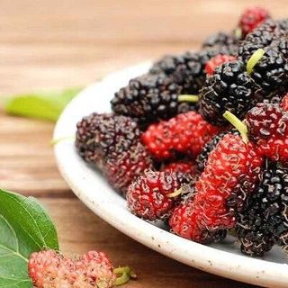 Chiết xuất Dâu tằm - Nguyên liệu mỹ phẩm giá sỉ