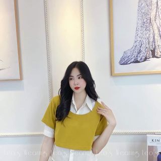 Đầm công sở váy kèm áo sơ mi và áo croptop