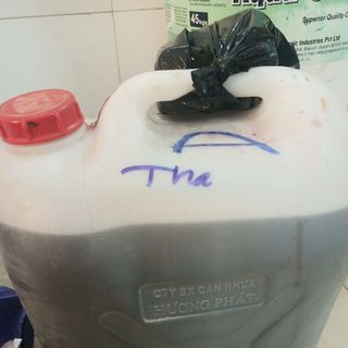 Polyester xanh làm tượng