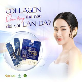 LIQUID NANO COLLAGEN ĐÔNG TRÙNG HẠ THẢO COLLATARIS VNUA