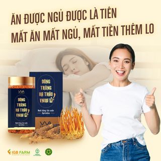 ĐÔNG TRÙNG HẠ THẢO KHÔ SẤY THĂNG HOA