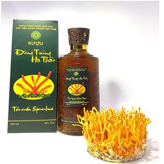 Rượu Đông Trùng Hạ Thảo