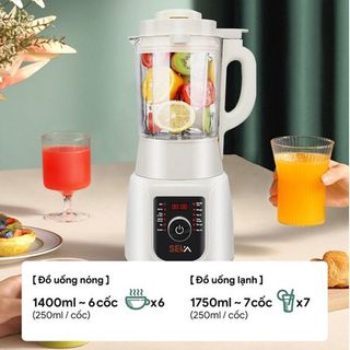 MÁY LÀM SỮA HẠT ĐA NĂNG SEKA SK620