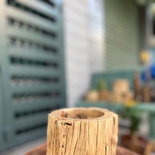 CHẬU CÂY GỖ LŨA