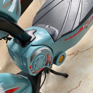 Xe đạp điện 133 R