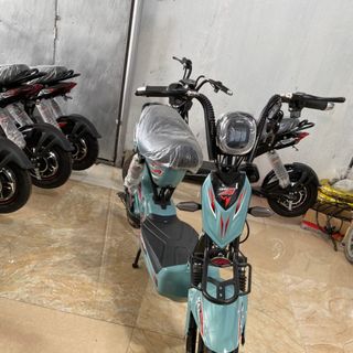 Xe đạp điện 133 R