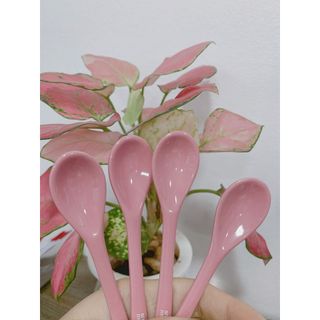 Thìa cho bé ăn dặm bằng sứ cao cấp kháng khuẩn