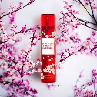 Xịt thơm body Japanese Cherry Blossom 236ml chính hãng Mỹ giá sỉ