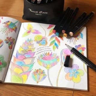 Bộ 48 Bút Lông 2 Đầu Kèm Túi Vải Touch Shi