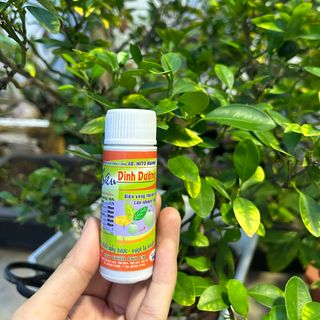 "Dinh dưỡng CHỒI NẨY TƯỢC - VƯỢT LÁ XANH CÂY, biến vàng thành xanh 40ml"