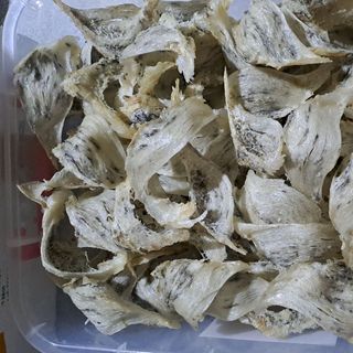 100g TỔ YẾN SÀO THÔ CÒN LÔNG tặng kèm NHÍP và ĐỒ CHƯNG ĐA DẠNG