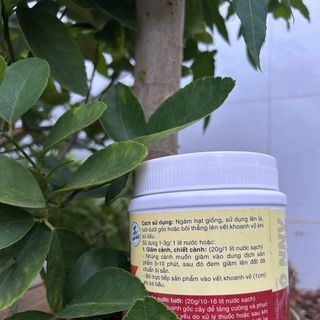 Thuốc kích thích ra rễ cực mạnh phiên bản mới N8M hủ 500g hiệu quả x8 lần