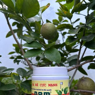 Thuốc kích thích ra rễ cực mạnh phiên bản mới N8M hủ 500g hiệu quả x8 lần