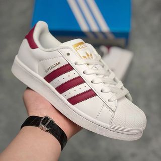 Giày Thể Thao Sneaker SP Star Full Color