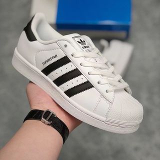 Giày Thể Thao Sneaker SP Star Full Color