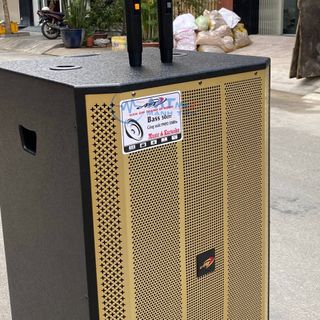 Loa Kéo AT T5800 Bass 50cm - Công Suất Lớn kèm 2 Micro Không Dây
