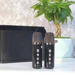 Loa Bluetooth Karaoke YS210 Blutooth Hỗ Trợ USB/TF/AUX