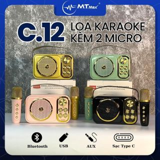 Loa Karaoke Zansong C12 - Kèm 2 Micro Không Dây