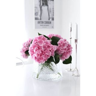 𝐇𝐨𝐚 𝐓𝐮̛𝐨̛𝐢 _Cẩm Tú Cầu HF_𝐂𝐚̆́𝐦 𝐁𝐢̀𝐧𝐡 (3 Bông) _𝐒𝐡𝐢𝐩 𝐇𝐨̉𝐚 𝐓𝐨̂́𝐜