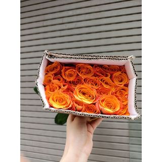 𝐇𝐨𝐚 𝐓𝐮̛𝐨̛𝐢 _Hồng ĐL Cam Cà Rốt_𝐂𝐚̆́𝐦 𝐁𝐢̀𝐧𝐡 (1 Bó 28-30b ) _𝐒𝐡𝐢𝐩 𝐇𝐨̉𝐚 𝐓𝐨̂́𝐜