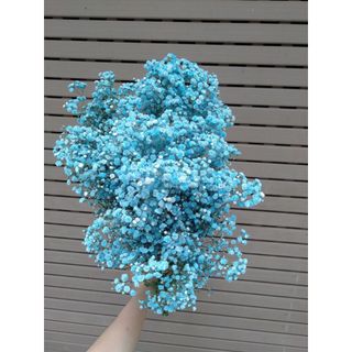 𝐇𝐨𝐚 𝐓𝐮̛𝐨̛𝐢 _Baby Các Màu _Cắm Lọ (𝟏 𝐁𝐨́) _𝐒𝐡𝐢𝐩 𝐇𝐨̉𝐚 𝐓𝐨̂́𝐜