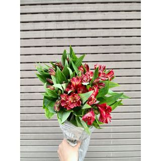 𝐇𝐨𝐚 𝐓𝐮̛𝐨̛𝐢 _Thủy Tiên_𝐂𝐚̆́𝐦 𝐁𝐢̀𝐧𝐡 (1 bó 10 cành) _𝐒𝐡𝐢𝐩 𝐇𝐨̉𝐚 𝐓𝐨̂́𝐜