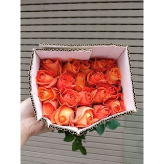 𝐇𝐨𝐚 𝐓𝐮̛𝐨̛𝐢 _Hồng ĐL Cam Quốc Vương_𝐂𝐚̆́𝐦 𝐁𝐢̀𝐧𝐡 (1 Bó 28-30b ) _𝐒𝐡𝐢𝐩 𝐇𝐨̉𝐚 𝐓𝐨̂́𝐜