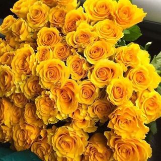 𝐇𝐨𝐚 𝐓𝐮̛𝐨̛𝐢 _Hồng ĐL Vàng Chùa_𝐂𝐚̆́𝐦 𝐁𝐢̀𝐧𝐡 (1 Bó 28-30b ) _𝐒𝐡𝐢𝐩 𝐇𝐨̉𝐚 𝐓𝐨̂́𝐜