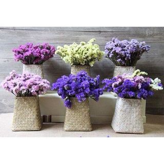 𝐇𝐨𝐚 𝐓𝐮̛𝐨̛𝐢 _Salem _cắm Lọ (1 Bó _𝐒𝐡𝐢𝐩 𝐇𝐨̉𝐚 𝐓𝐨̂́𝐜