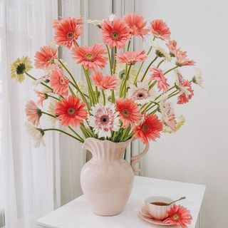 𝐇𝐨𝐚 𝐓𝐮̛𝐨̛𝐢 _Đồng Tiền Nhí_𝐂𝐚̆́𝐦 𝐁𝐢̀𝐧𝐡 (𝟏 𝐁𝐨́ 20 cành ) _𝐒𝐡𝐢𝐩 𝐇𝐨̉𝐚 𝐓𝐨̂́𝐜