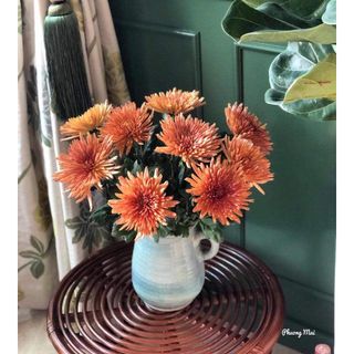 𝐇𝐨𝐚 𝐓𝐮̛𝐨̛𝐢 _Cúc lưới tua Dalat Hasfarm_𝐂𝐚̆́𝐦 𝐁𝐢̀𝐧𝐡 (1 bó ) _𝐒𝐡𝐢𝐩 𝐇𝐨̉𝐚 𝐓𝐨̂́𝐜