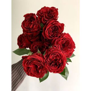 𝐇𝐨𝐚 𝐓𝐮̛𝐨̛𝐢 _Hồng ĐL Ohara Đỏ_𝐂𝐚̆́𝐦 𝐁𝐢̀𝐧𝐡 (1 Bó 28-30b ) _𝐒𝐡𝐢𝐩 𝐇𝐨̉𝐚 𝐓𝐨̂́𝐜