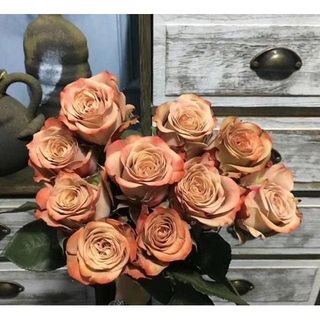 𝐇𝐨𝐚 𝐓𝐮̛𝐨̛𝐢 _Hồng ĐL Capuchino_𝐂𝐚̆́𝐦 𝐁𝐢̀𝐧𝐡 (1 Bó 28-30b ) _𝐒𝐡𝐢𝐩 𝐇𝐨̉𝐚 𝐓𝐨̂́𝐜