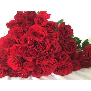 𝐇𝐨𝐚 𝐓𝐮̛𝐨̛𝐢 _Hồng ĐL Đỏ Pháp_𝐂𝐚̆́𝐦 𝐁𝐢̀𝐧𝐡 (1 Bó 28-30b ) _𝐒𝐡𝐢𝐩 𝐇𝐨̉𝐚 𝐓𝐨̂́𝐜